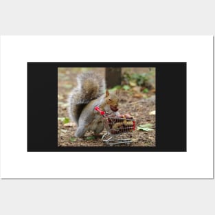 squirrel with shopping cart Posters and Art